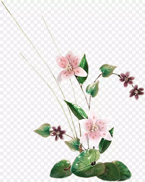 ��������л�ֲ�ﾥ���컨-������