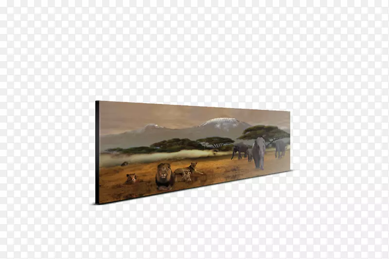 ������-������