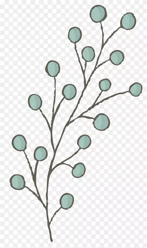 ��ݮ-��ݮ-������