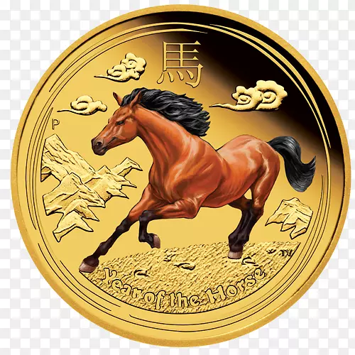 ��˹���ҽ�ҷ�α����-�ƽ�-������