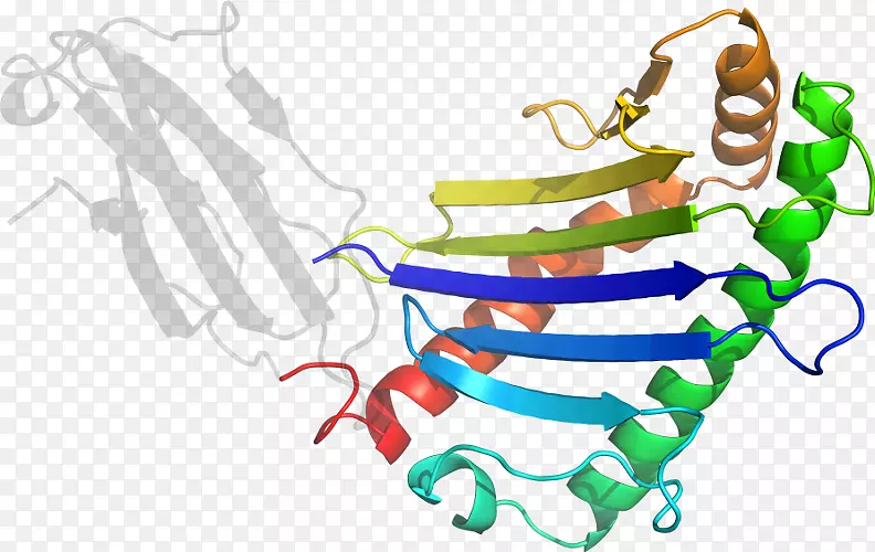 �ߵ������-��-������