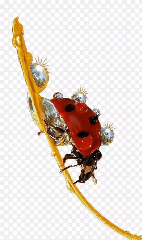 �׳��ư����������-������