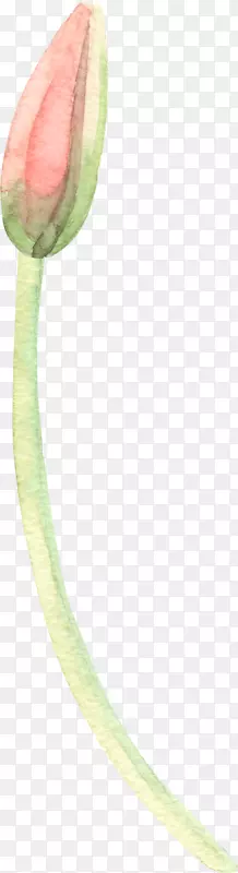 ����Ҷֲ�ﾥ�����뿪��ֲ�������㻨��-������