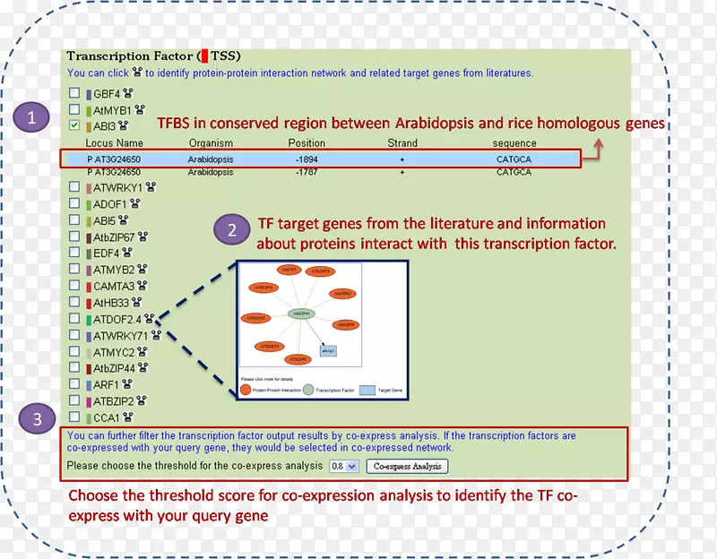 �ߵ�������-������