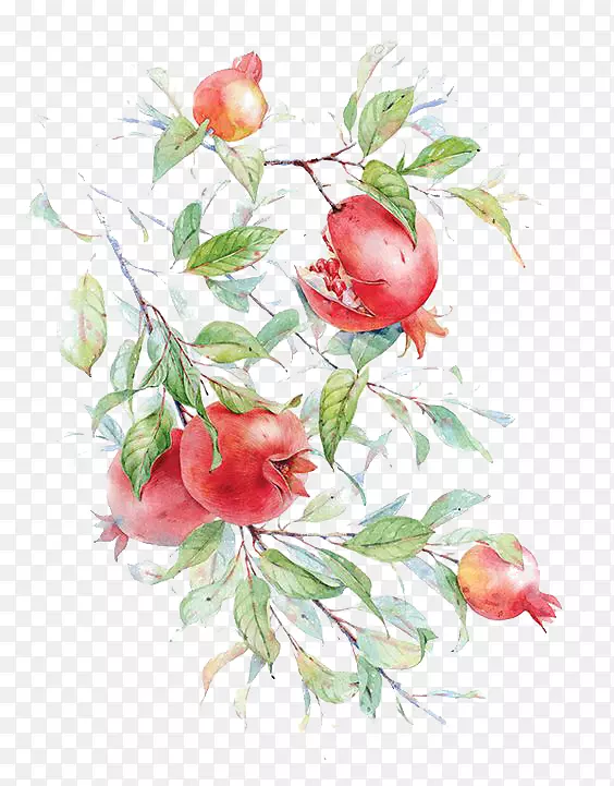 ˮ�ʻ�ʯ��ˮ�ʻ�����ʯ��-������