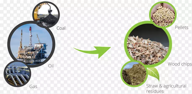 ����ʳƷ���-������