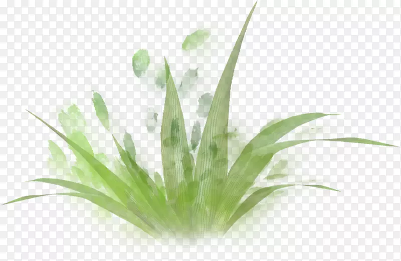 ���̲�-������