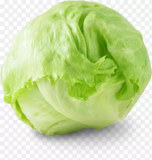 ��ɽ�����л�ʳƷ�߲�ɳ���ӻ����߲�-������