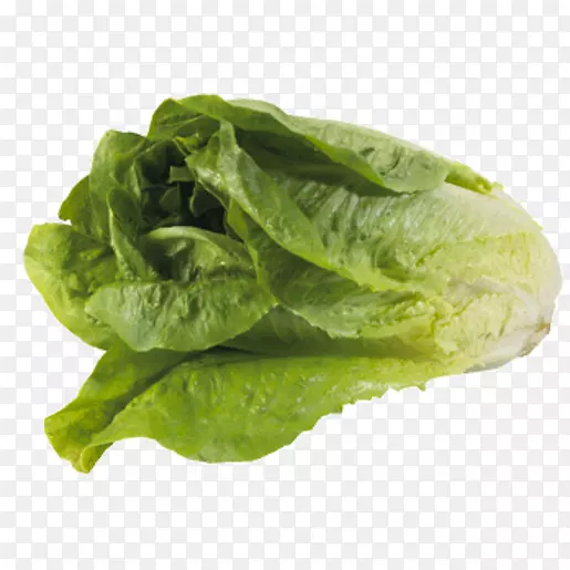 ݫ�Ĳ���Ҷݫ���߲�-������