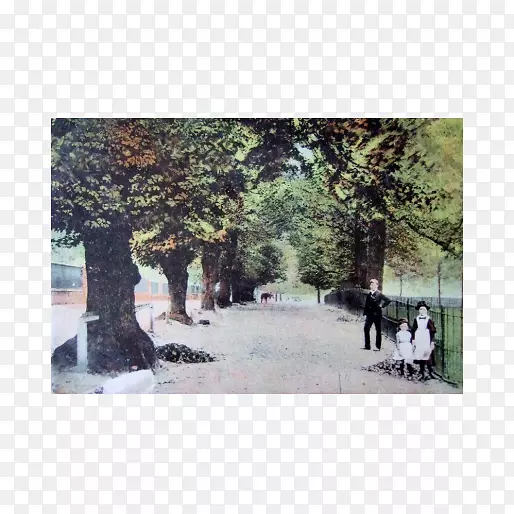 ������-������