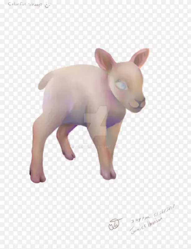 ��ţ������Ȯ����-������