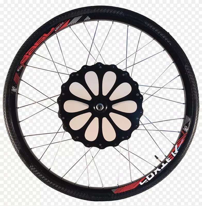 ������������µ�-����-������