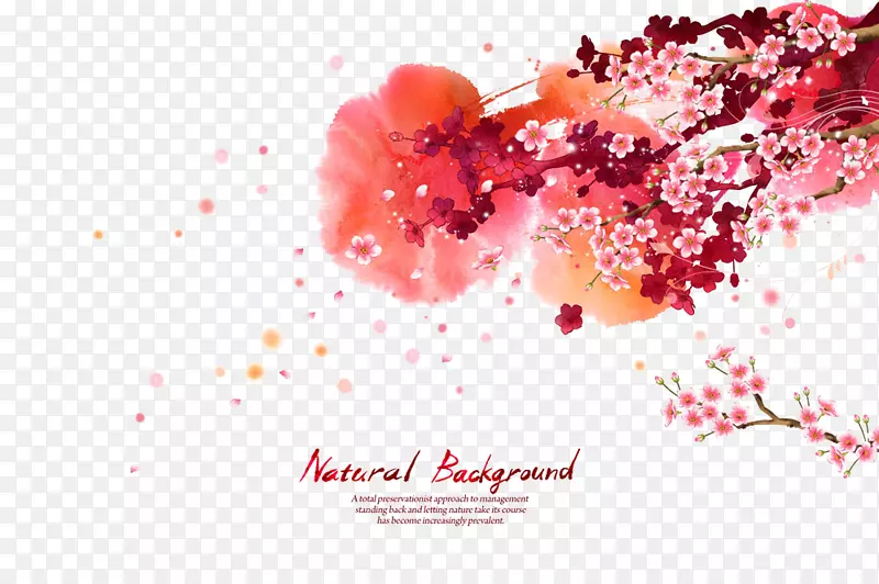 ˮ�ʻ�ˮī��-�Һ�ɫ����-������