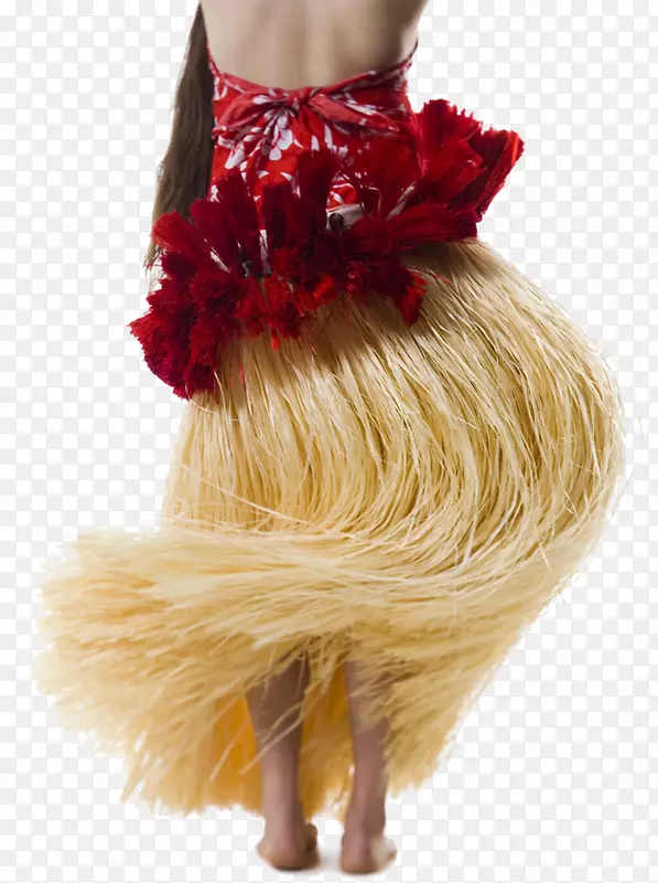 ��ͳ��ȹ��-������