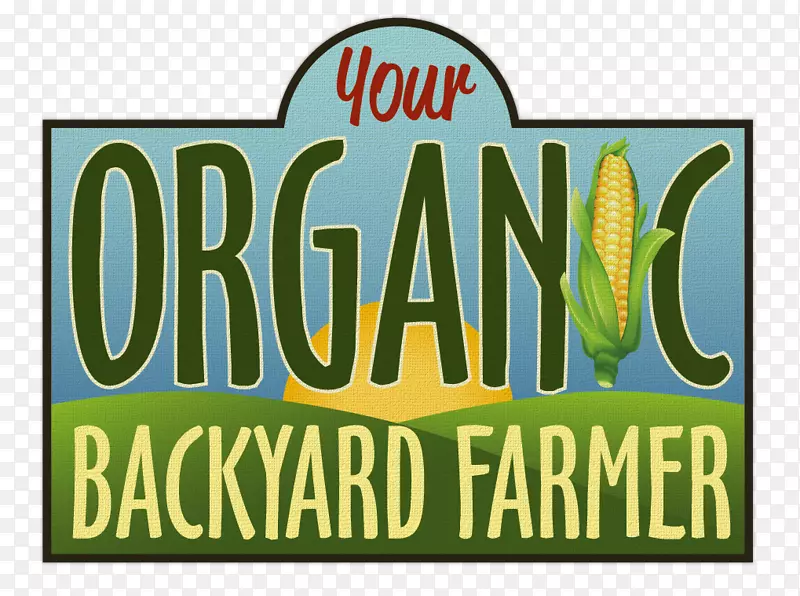 �̱�����-����-������