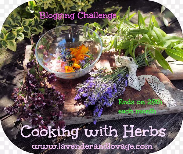 ެ�����ڣ��ݱ�ֲ���ʳʳ��-���-������