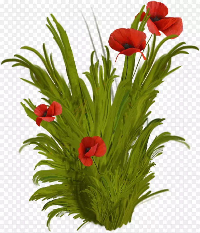 ���յ������ף�����տ���-����-������