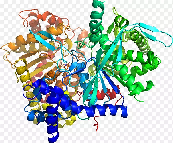 ���������鱦�л�����������鱦����-������