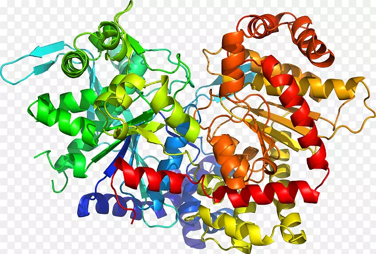 �����߲������鱦�л��������-�߲�-������