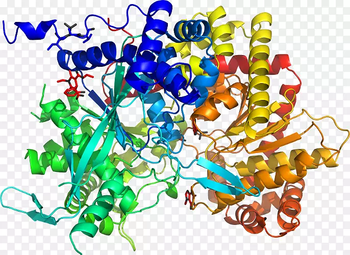 ���������鱦�л����߼�������-������