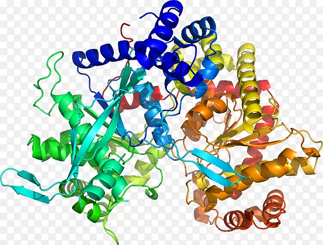 �鱦���μ�����.�鱦-������