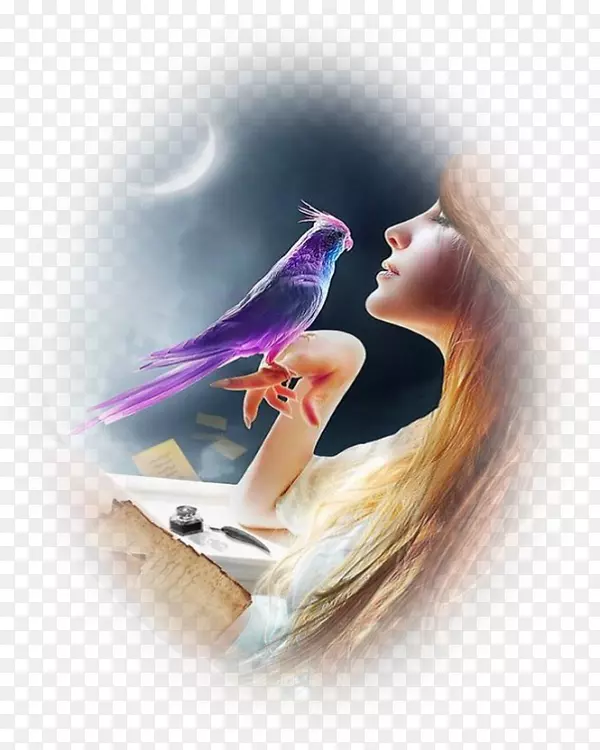 ���������ֽ��ˢ-������