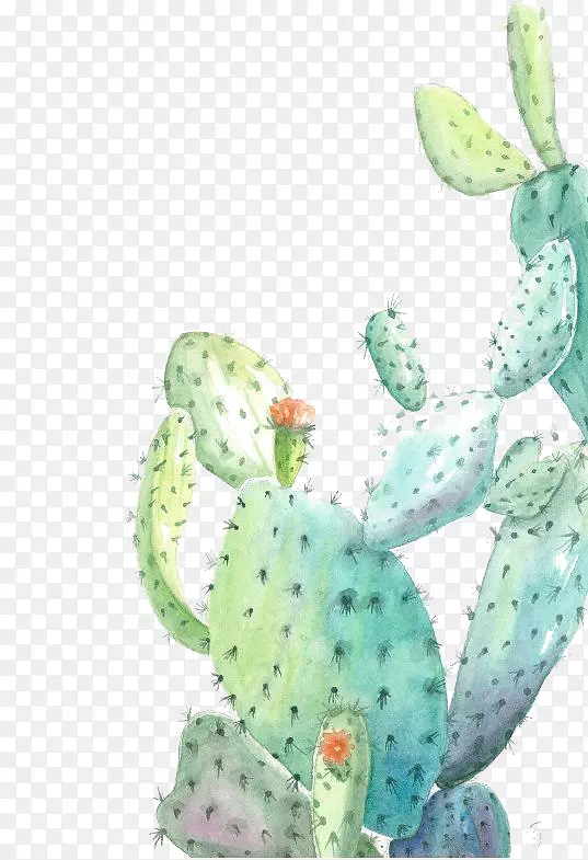 �����ƿ�ˮ�ʻ���ͼ.ˮ��������-������