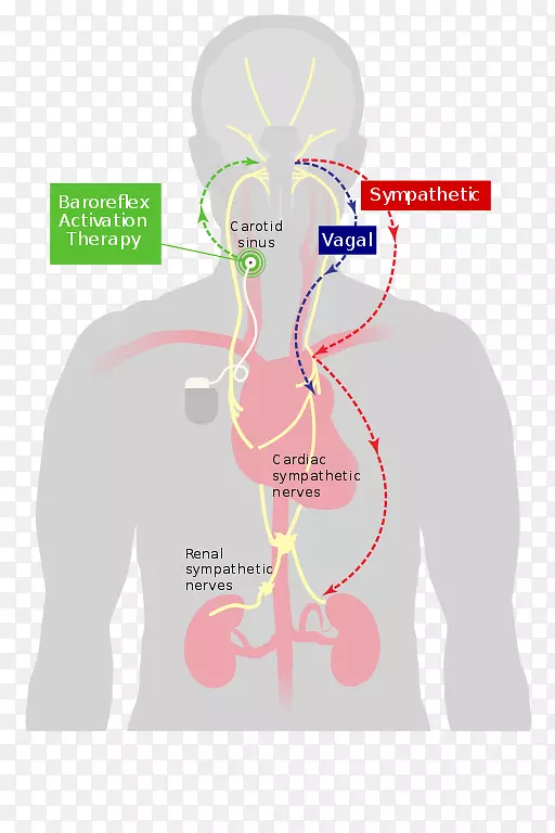 ѹ�����������ྱ����񼸱������ϵͳ-����-������