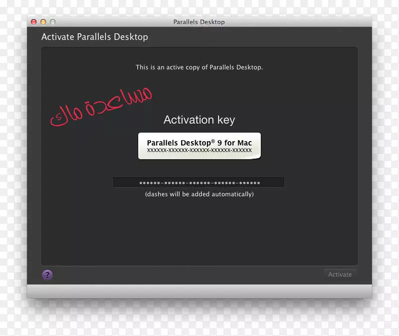 Ʒ�ƶ�ý�����弤��-������