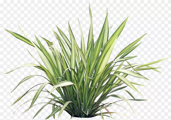 �ݱ�ֲ����Ϣ-������