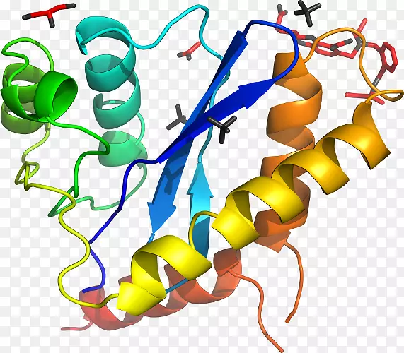 �ߵ������������-������