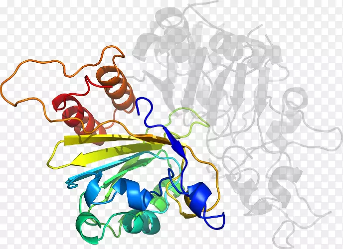 ƽ������߼��������-������