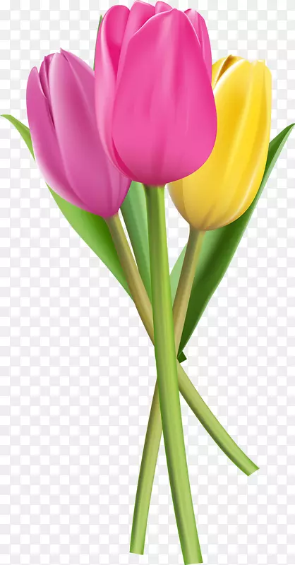 ������廨����-�����㻨-������