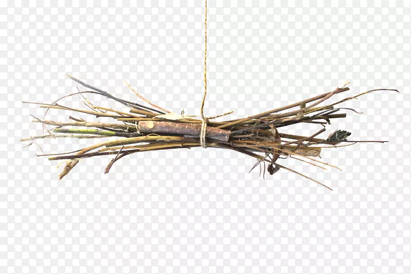 С֦���޹�²�ë���׵ķ�˿-���-������