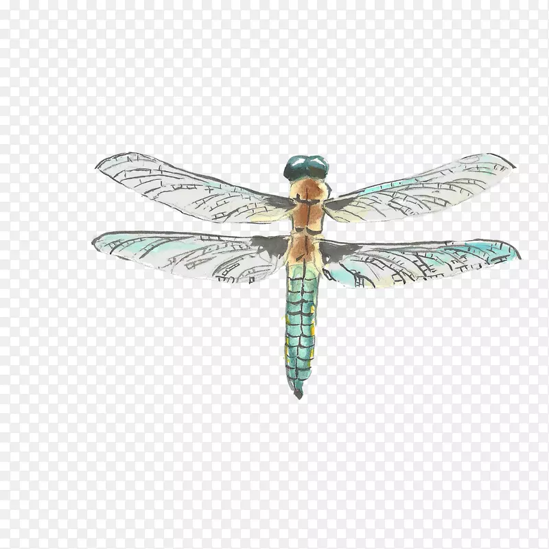 ˮ�ʻ�.�������ֻ�����-������