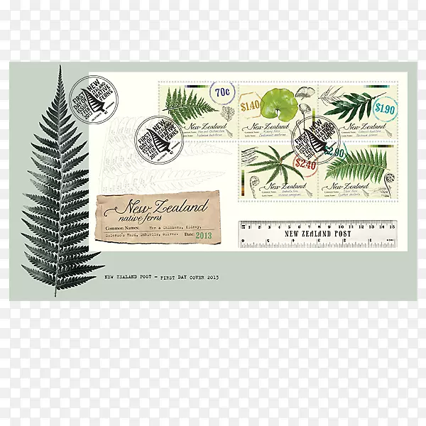 ֽ������������-������