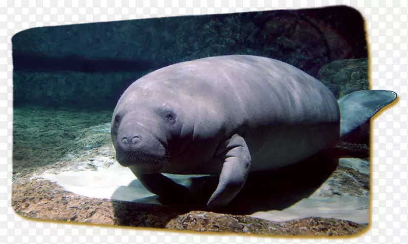 ����Ⱥ�������ﺣ��½�����ﺣ��-������