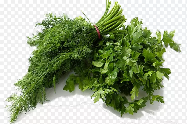 ŷ��Dill�߲�ɫ��-�߲�-������