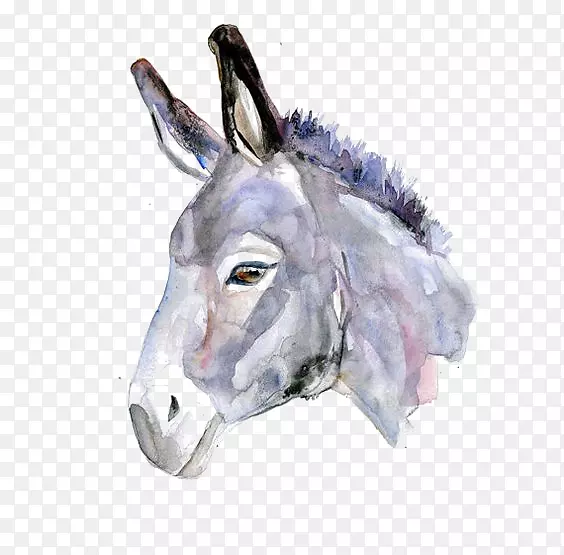 ����¿��ˮ�ʻ�¿-������