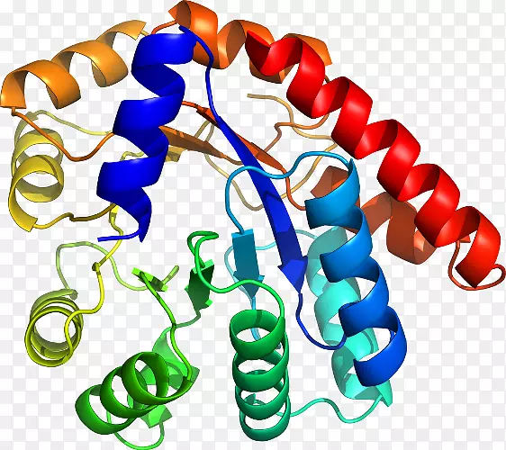 ���������л����߼�������-������