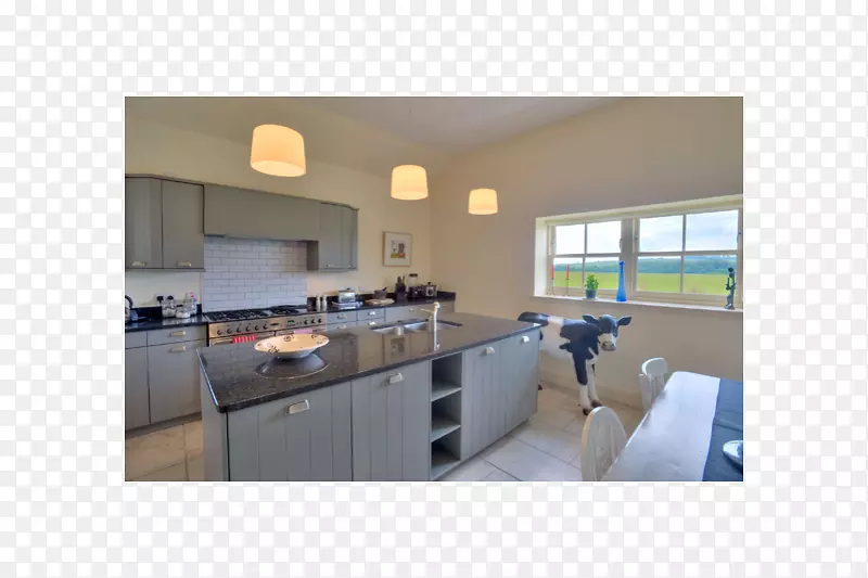 ������Ʒ�����ҵ�������-������