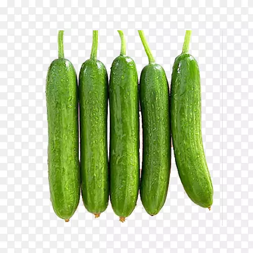 �ݲ˻ƹ��߲�ˮ��ʳƷ�����ƹ�-������