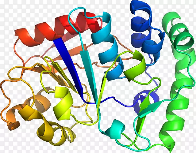 ���������л����߼�������-������