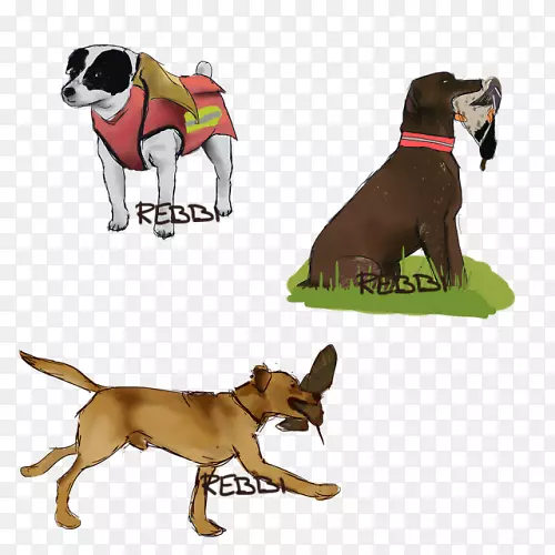 ����ֳС��������-С��-������