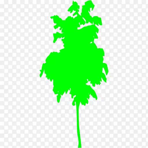 Ҷֲ�ﾥϵ����ֲ�������Ҷ-������