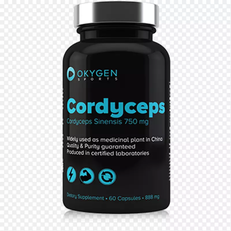 ��������֧����������谱������ʳ��������-������