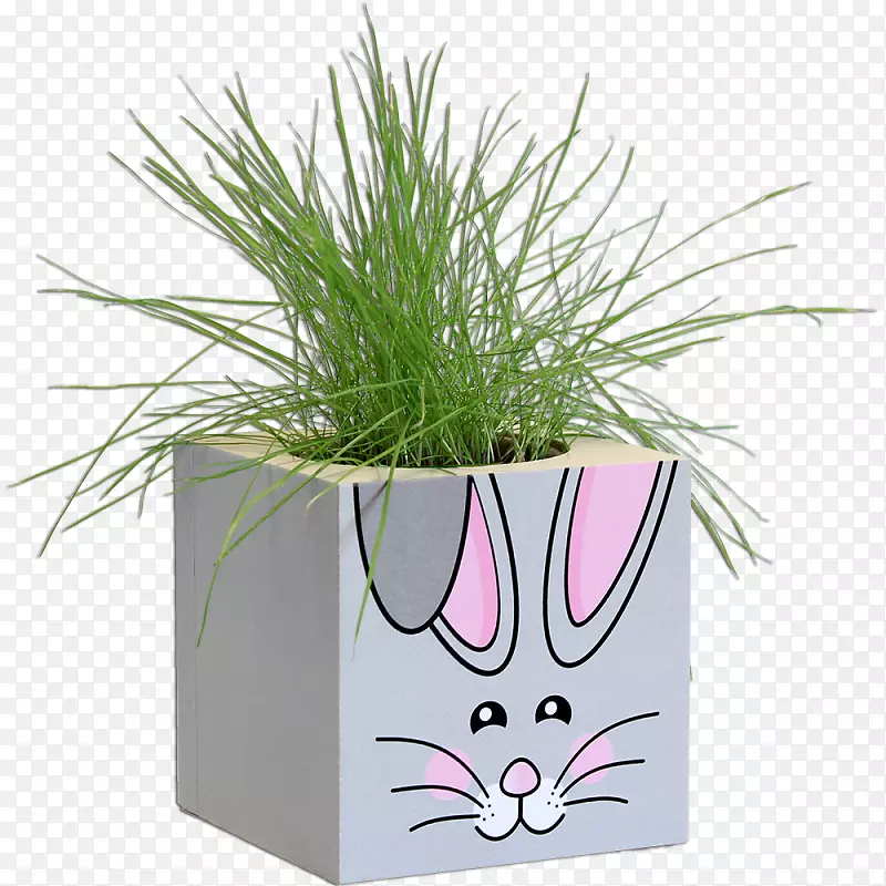 ���ݻ���-��������-������