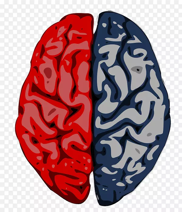 ����-����Ƥ��-���԰����ѧ-��������������-������