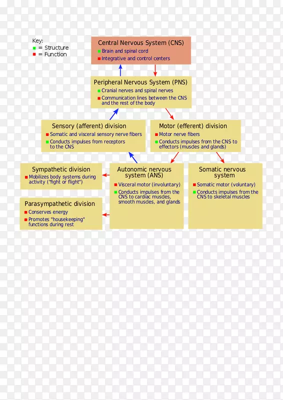 ������ϵͳ������ϵͳ������ϵͳ-��-������