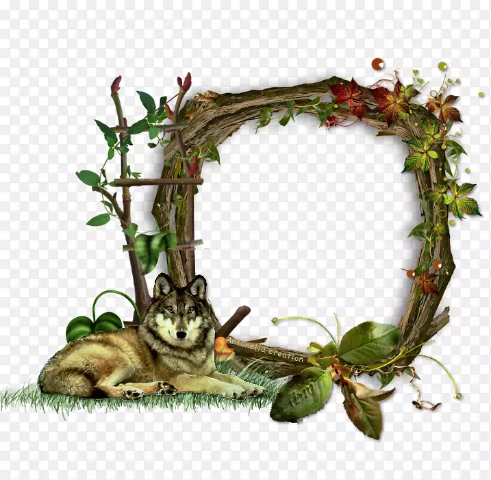 ����-����-������